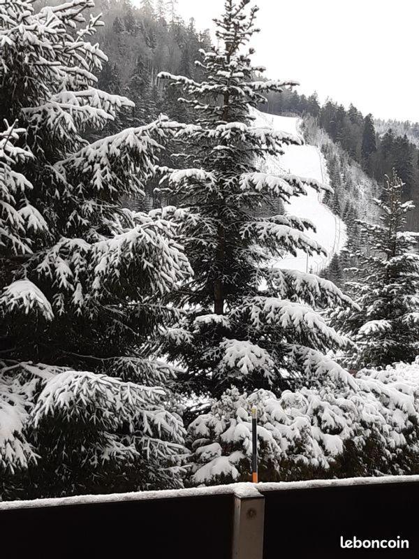 Appartement A La Montagne ,Vue Sur Les Pistes La Bresse Exterior foto
