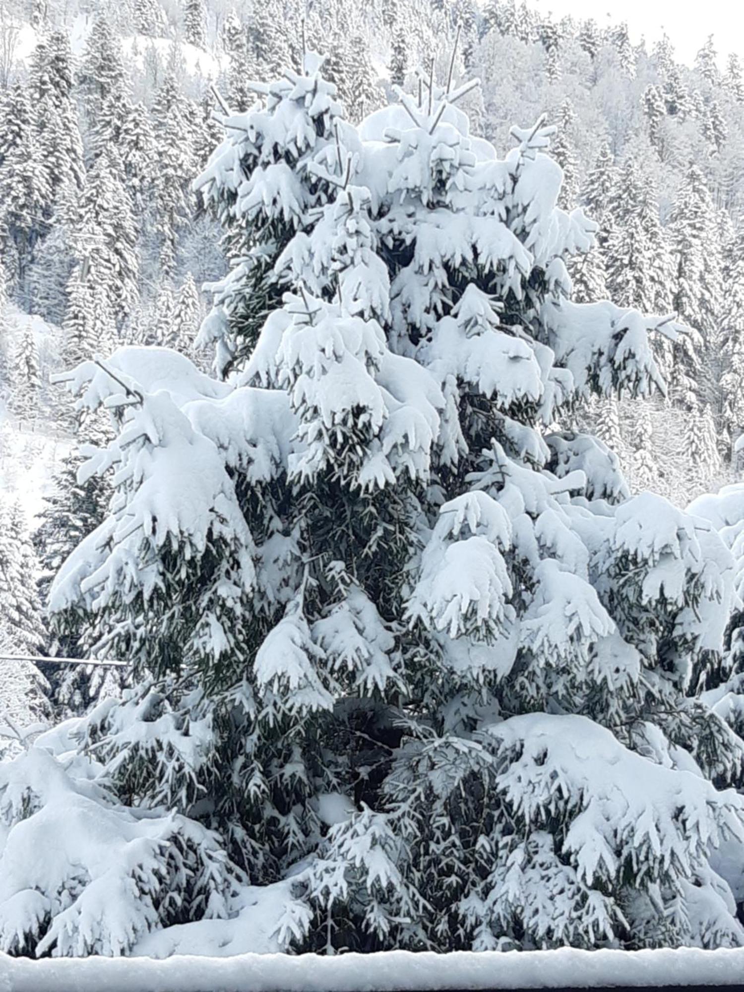 Appartement A La Montagne ,Vue Sur Les Pistes La Bresse Exterior foto